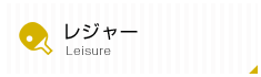link leisure
